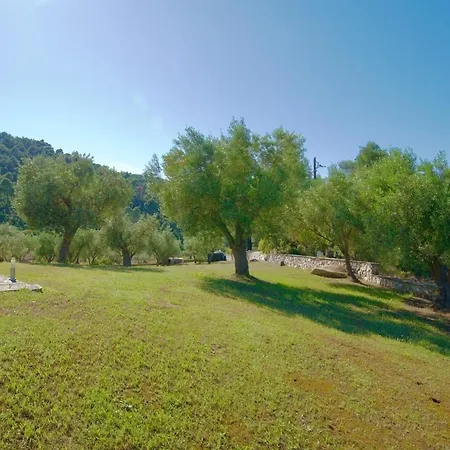 Magic View # 4 Διάπορος